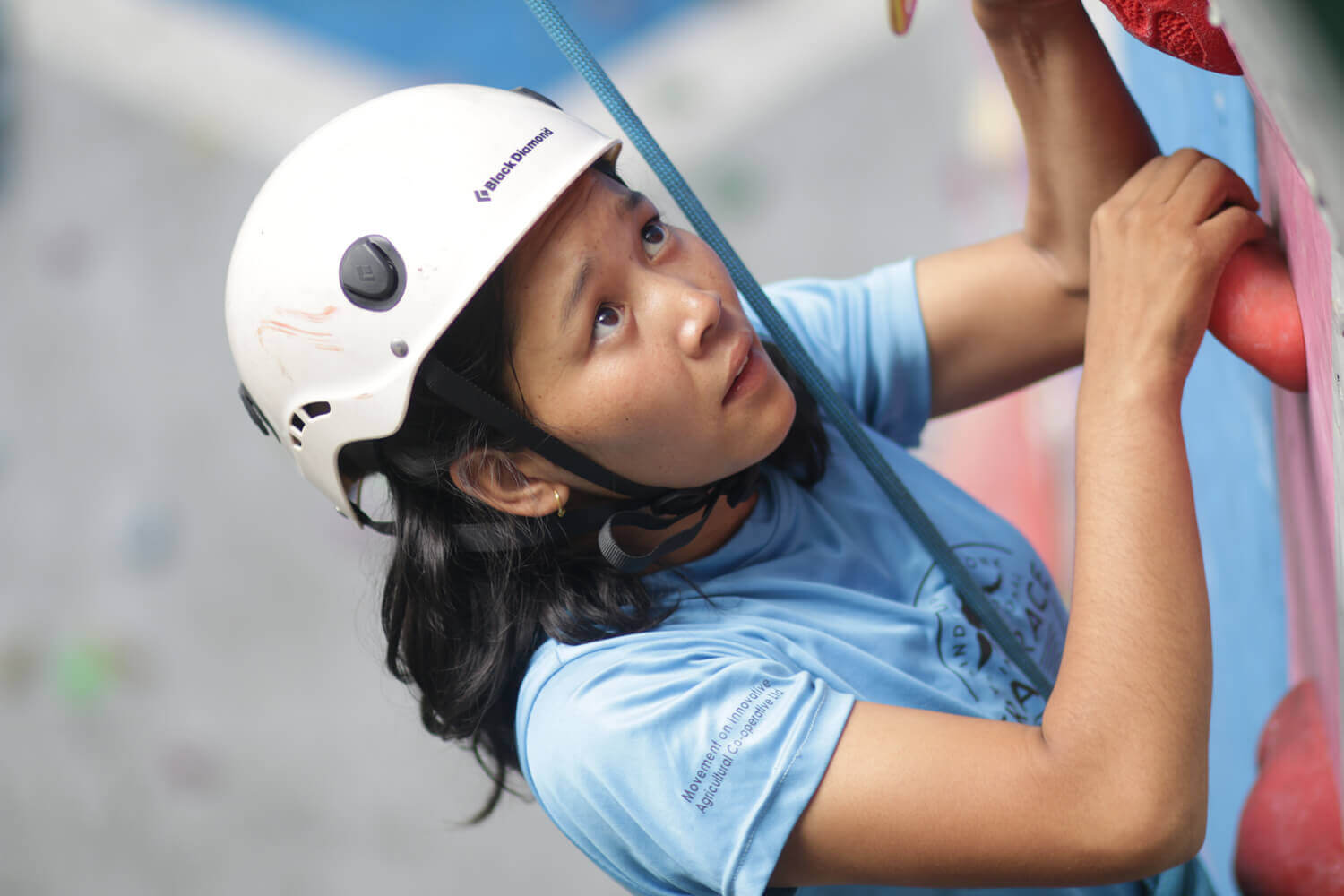 Climbing guidebooks by women?