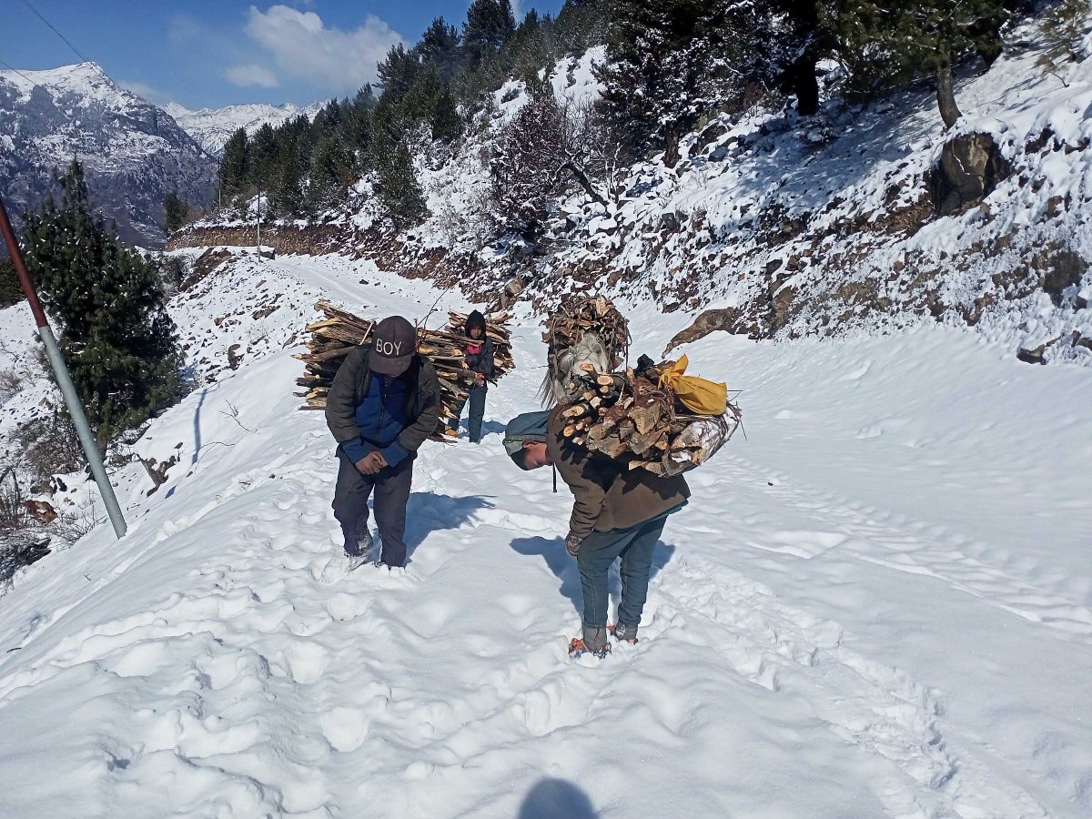 Locals carry firewood amid Simikot snowfall