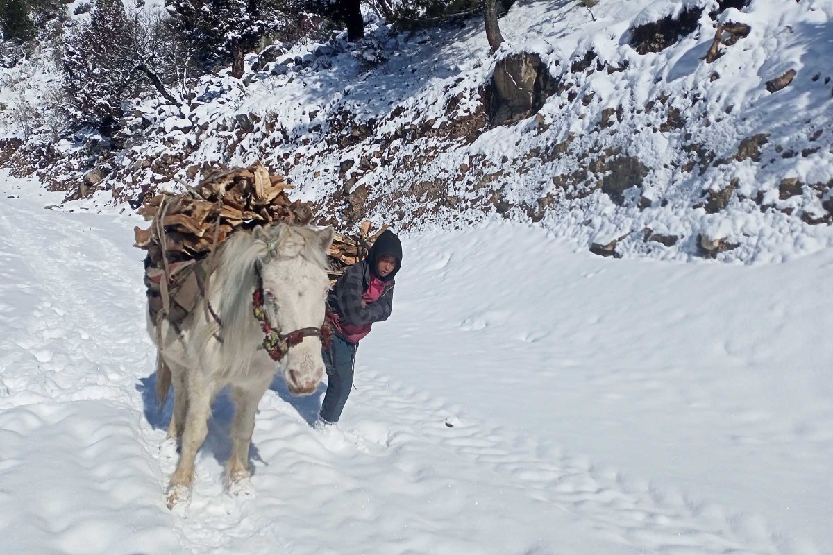 Simikot locals amid snowfall