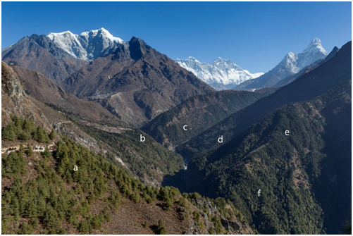 The greening of the Khumbu | Nepali Times